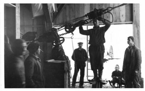 Klicken für Bild in voller Größe