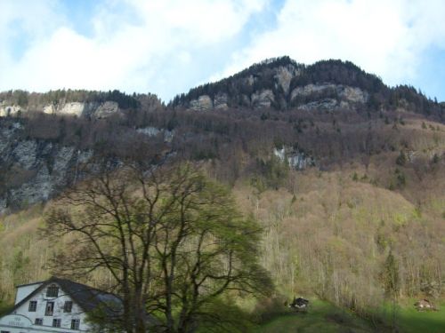 Klicken für Bild in voller Größe