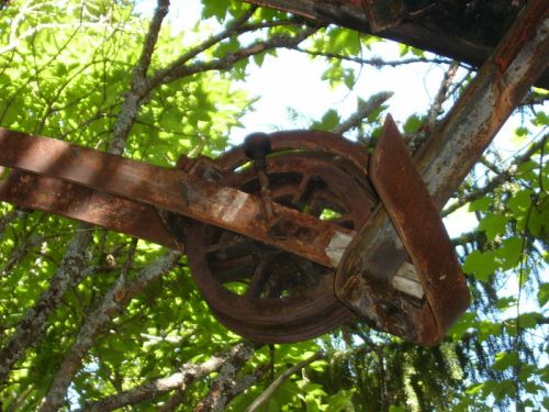 Klicken für Bild in voller Größe