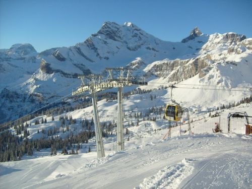 Klicken für Bild in voller Größe