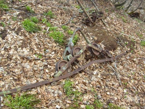 Klicken für Bild in voller Größe