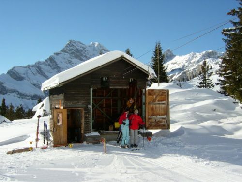 Klicken für Bild in voller Größe