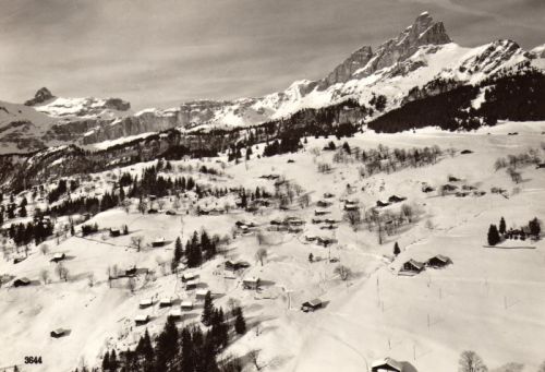 Klicken für Bild in voller Größe