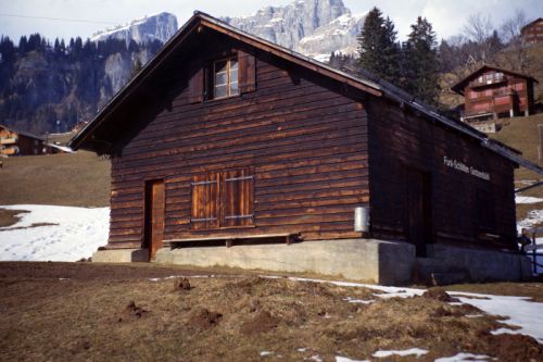 Klicken für Bild in voller Größe