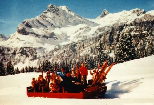 Klicken für Bild in voller Größe